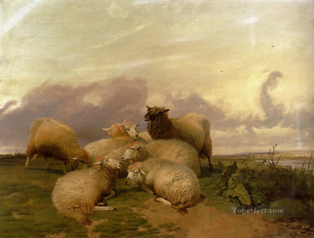 Sheep In Canterbury Water Meadows farm animals Thomas Sidney Cooper Oil Paintings